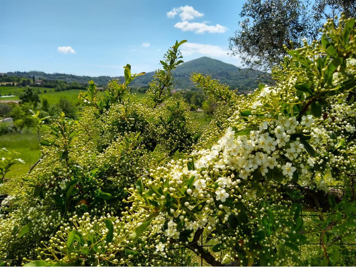 Le Piracante Caiazzo Exterior photo
