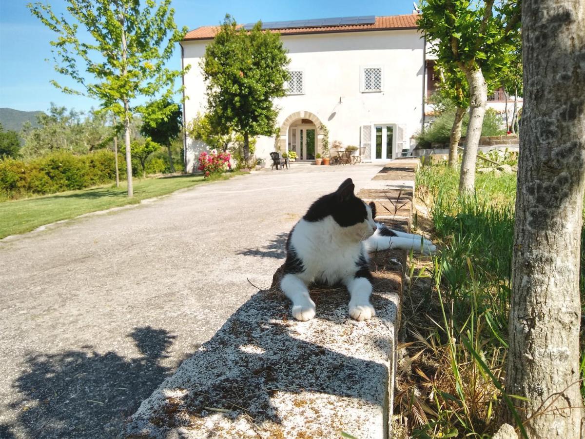 Le Piracante Caiazzo Exterior photo
