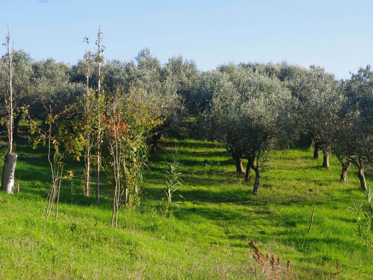 Le Piracante Caiazzo Exterior photo